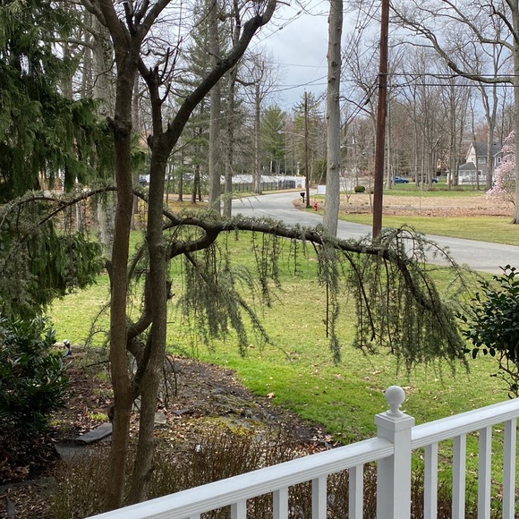 Meet your Posher, Melissa - Picture 1 of 1